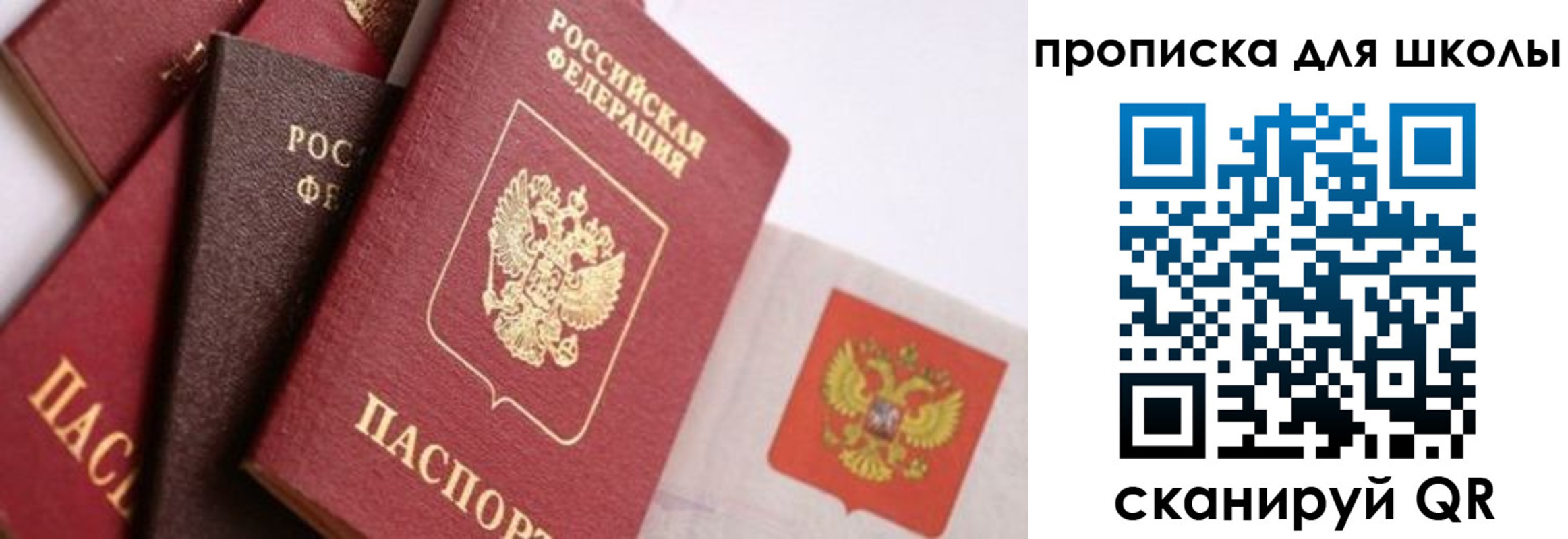 прописка поиск в Суворове